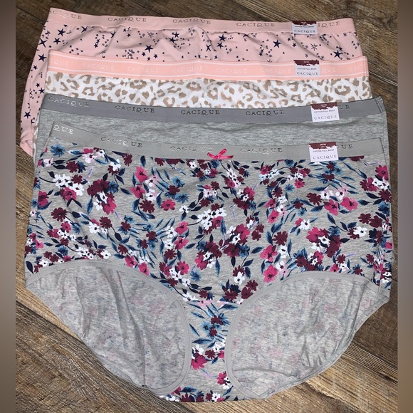 Cacique Intimates & Sleepwear Cacique Full Brief Panties Poshmark